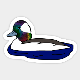 Bufflehead Sticker